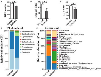 Gut Microbiota Modulates Intestinal Pathological Injury in Schistosoma japonicum-Infected Mice